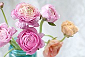 RANUNCULUS FLORAL ARRANGEMENT IN VASE