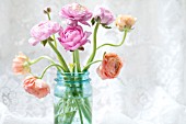 RANUNCULUS FLORAL ARRANGEMENT IN VASE