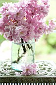 BLOSSOMS OF APPLE AND KWANZAN CHERRY IN GLASS VASES