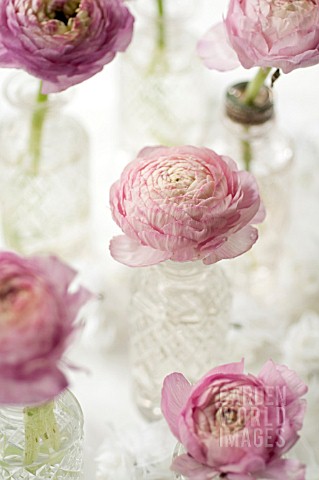 RANUNCULUS_FLORAL_ARRANGEMENT_IN_CRYSTAL_VASES