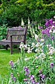 COTTAGE GARDEN IN SUMMER WITH WOODEN BENCH