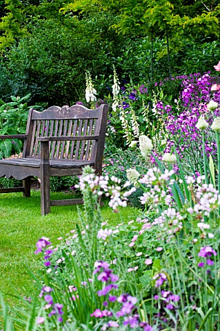 COTTAGE_GARDEN_IN_SUMMER_WITH_WOODEN_BENCH