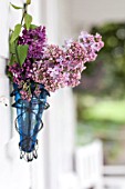 SYRINGA VULGARIS, BOUQUET IN SPRING ON PORCH