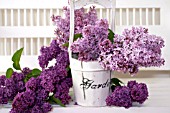 SYRINGA VULGARIS, COMMON LILAC, IN WOODEN BUCKET ON WHITE PORCH BENCH