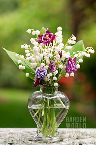 CONVALLARIA_MAJALIS_AND_AGUILEGIA_IN_GLASS_VASE