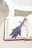 LAVANDULA SILVER FROST BUNDLE TIED WITH RIBBON ON ANTIQUE BOOK