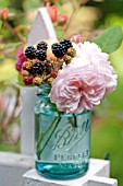 ROSA A SHROPSHIRE LAD AND RUBUS FRUTICOSUS, IN VINTAGE CANNING JAR ON PICKET FENCE