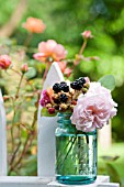 ROSA A SHROPSHIRE LAD AND RUBUS FRUTICOSUS, IN VINTAGE CANNING JAR ON PICKET FENCE