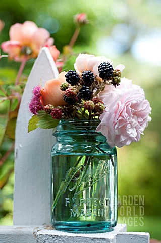 ROSA_A_SHROPSHIRE_LAD_AND_ROSA_LADY_EMMA_HAMILTON_AND_RUBUS_FRUTICOSUS_IN_VINTAGE_CANNING_JAR_ON_PIC