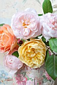 ROSA LADY EMMA HAMILTON, ROSA GRAHAM THOMAS, ROSA A SHROPSHIRE LAD, ROSA EGLANTYNE AND ROSA GENTLE HERMIONE