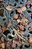 BETULA (BIRCH) LEAVES ON ORNATE IRON BENCH IN AUTUMN