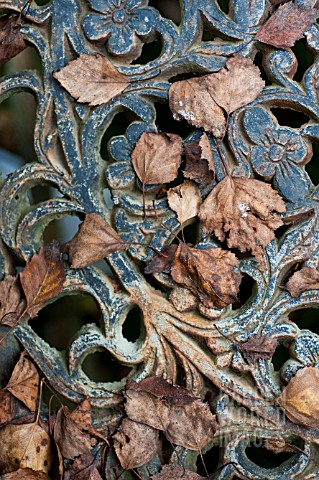 BETULA_BIRCH_LEAVES_ON_ORNATE_IRON_BENCH_IN_AUTUMN