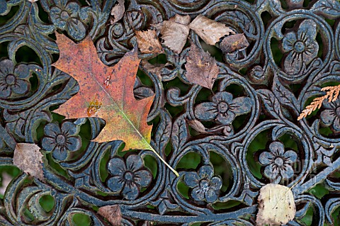 AUTUMN_LEAVES_ON_ORNATE_IRON_BENCH