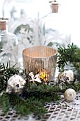 PSEUDOTSUGA MENZIESII, DOUGLAS-FIR IN FESTIVE STILL LIFE