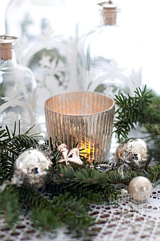 PSEUDOTSUGA_MENZIESII_DOUGLASFIR_IN_FESTIVE_STILL_LIFE