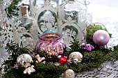 PSEUDOTSUGA MENZIESII, DOUGLAS-FIR IN FESTIVE STILL LIFE