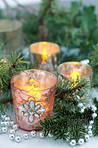 PSEUDOTSUGA_MENZIESII_DOUGLASFIR_IN_FESTIVE_STILL_LIFE