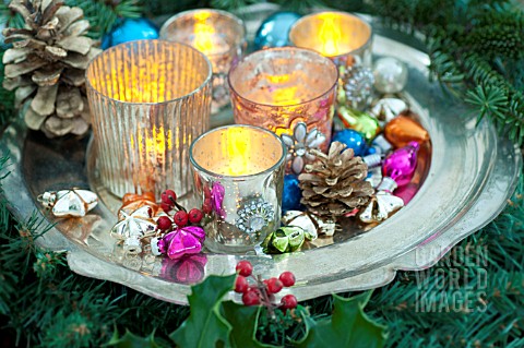 PSEUDOTSUGA_MENZIESII_DOUGLASFIR_IN_FESTIVE_STILL_LIFE