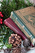 ILEX AND PSEUDOTSUGA MENZIESII, DOUGLAS-FIR DECOR WITH VINTAGE CHRISTMAS BOOKS