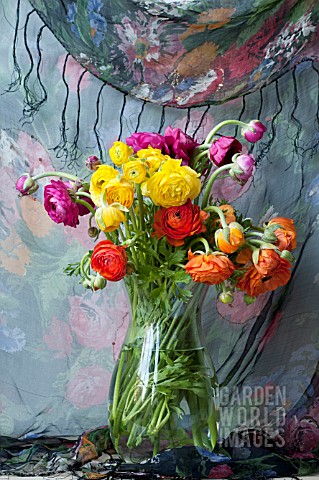 RANUNCULUS_ASIATICUS_BOUQUET