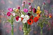 RANUNCULUS ASIATICUS BOUQUET