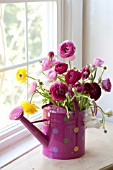 RANUNCULUS ASIATICUS IN PINK POLKA DOT WATERING CAN