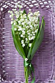 CONVALLARIA MAJALIS IN MAUVE BASKET