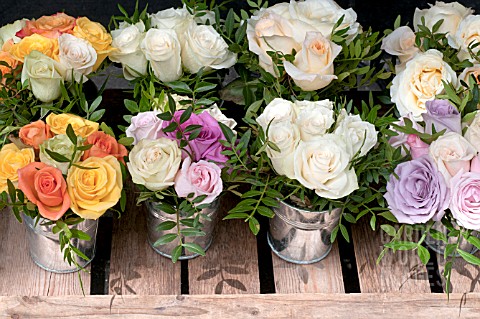 BOUQUETS_OF_ROSES_IN_ZINC_CONTAINERS