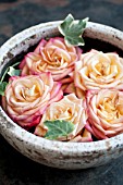 ROSES IN BOWLS