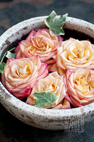 ROSES_IN_BOWLS