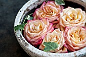 ROSES IN BOWLS