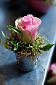 ROSE IN ZINC CONTAINER