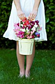 SWEET PEAS IN WHITE WOODEN BUCKET HELD BY GIRL