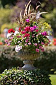 PELARGONIUMS, ANNUALS AND GRASSES PLANTED IN STONE URN