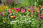 COLOURFUL COTTAGE GARDEN