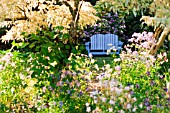 COTTAGE GARDEN WITH BLUE ADIRONDACK BENCH, EARLY SUMMER MORNING