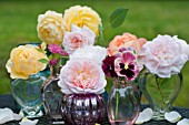 ROSA EGLANTYNE, ROSA A SHROPSHIRE LAD, ROSA GRAHAM THOMAS, ROSA LADY EMMA HAMILTON, DAVID AUSTIN ENGLISH ROSES IN A COLLECTION OF CLASS VASES IN OUTDOOR DISPLAY