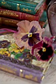 PANSY FLOWERS IN STILL LIFE ARRANGEMENT WITH BOOKS AND VASES