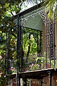 BLACK DECORATIVE IRON BALCONY WITH URBAN GARDEN