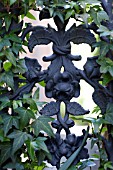 HEDERA HELIX ON DECORATIVE CAST IRON GARDEN GATE