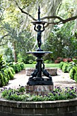 QUERCUS VIRGINIANA , TILLANDSIA USNEOIDES (SPANISH MOSS) IN GARDEN WITH BOXWOOD HEDGE AND PLANTERS