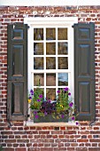 WINDOW BOX WITH OXALIS, VIOLAS AND CALIBRACHOA