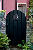 CYROMIUM FALCATUM, WITH ARCHED BLACK GARDEN GATE