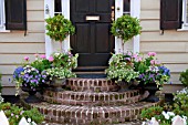 PHILADELPHUS, VIOLA, BACOPA, OSTEOSPERMUM, HELIX IN URNS ON ENTRANCE STEPS