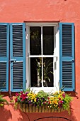 ANTIRRHIRNUM, DIANTHUS, VIOLAS, PETUNIAS AND FERN IN WINDOW BOX