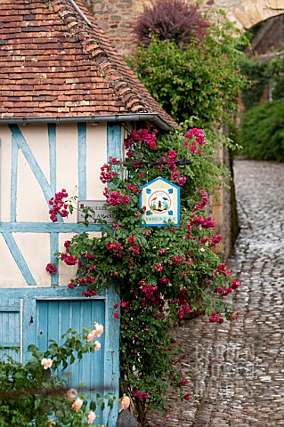 RED_ROSES_CLIMBING_OVER_BLUE_HALF_TIMBERED_MEDIEVAL_COTTAGE