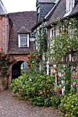 CLIMBING ROSES IN FRENCH COUNTRY VILLAGE