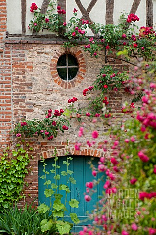 RED_CLIMBING_ROSES_OVER_BRICK_AND_HALF_TIMBERED_MEDIEVAL_BUILDING