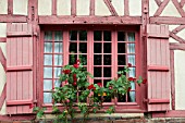 ROSES IN WINDOW OF HALF TIMBERED MEDIEVAL COTTAGE