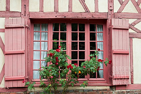 ROSES_IN_WINDOW_OF_HALF_TIMBERED_MEDIEVAL_COTTAGE